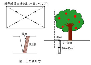 土壌の取り方