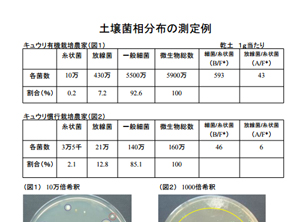 土壌菌相分布(土壌微生物）の測定例