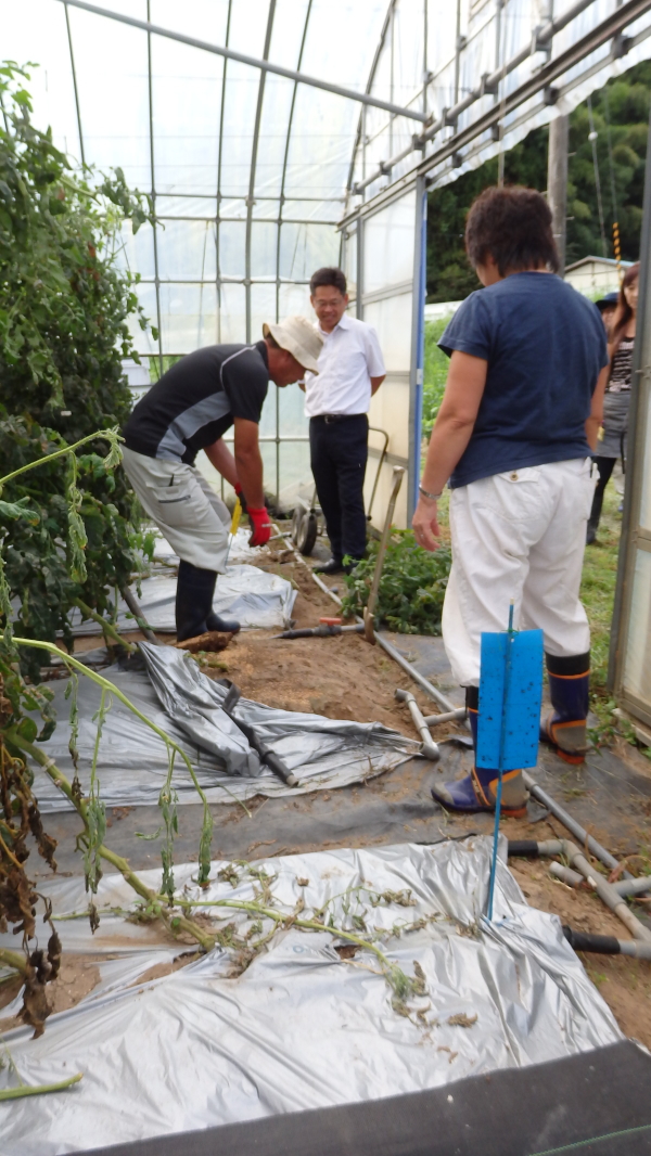 土壌における物理性の現地視察